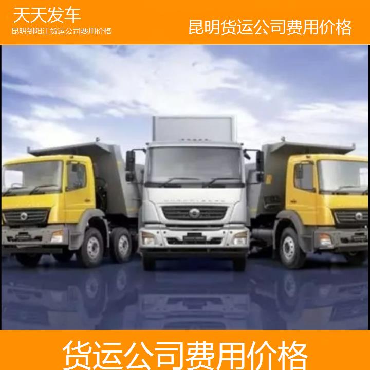 昆明到阳江物流专线-货运公司费用价格-「天天发车」2025排名一览