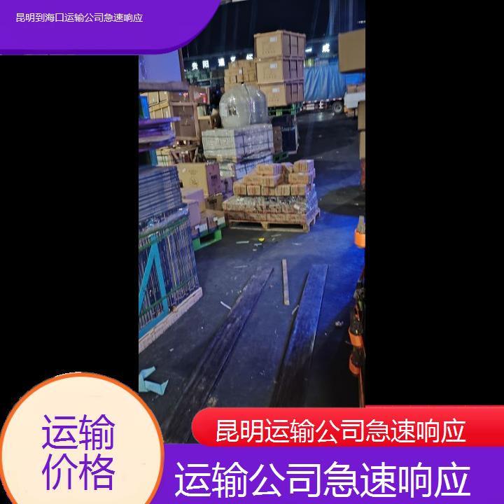 昆明到海口物流专线-运输公司急速响应-「运输价格」2025排名一览