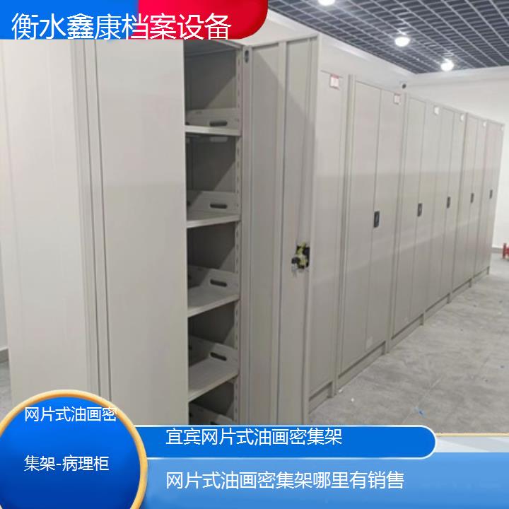 宜宾网片式油画密集架哪里有销售「病理柜」2024榜单一览推荐