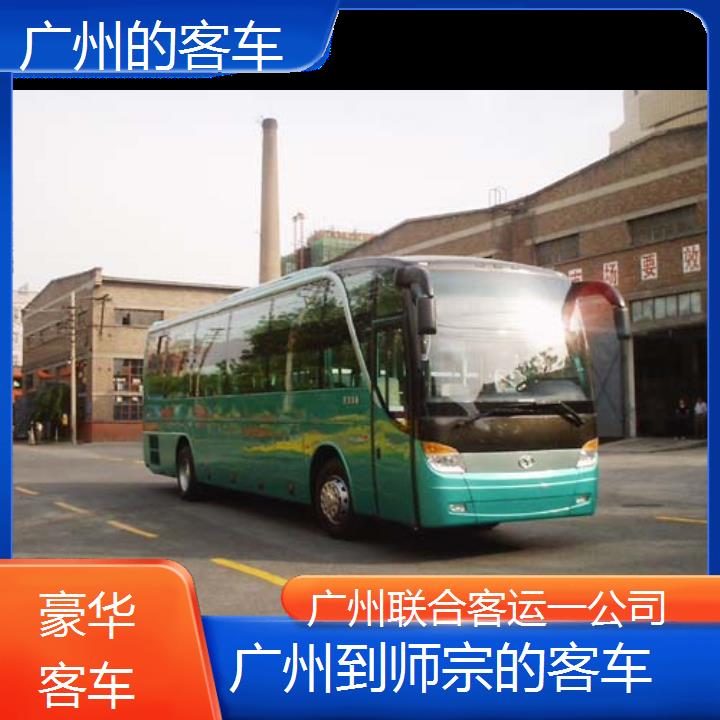 广州到师宗的客车班次查询表（路线+票价）豪华客车