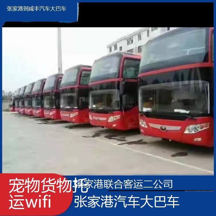 张家港到咸丰汽车大巴车班次查询表（路线+票价）货物托运wifi