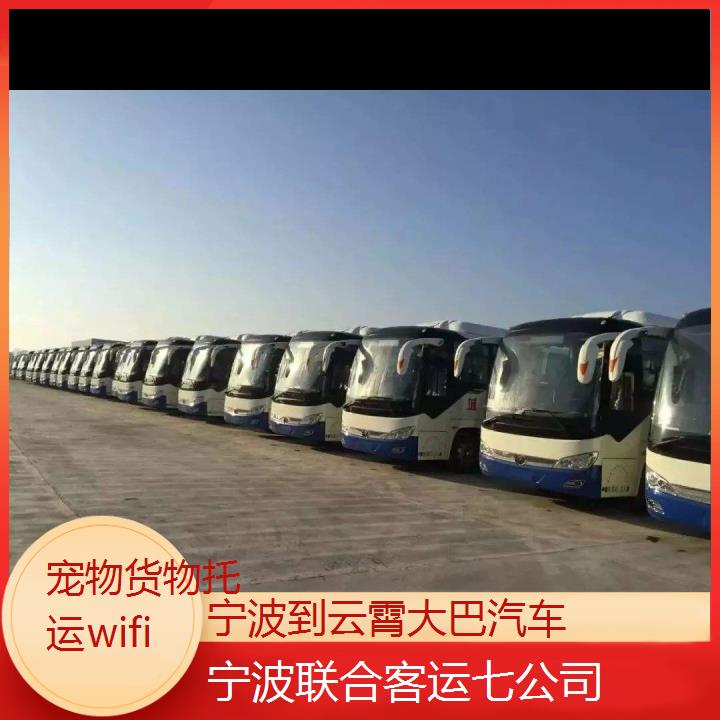 宁波到云霄大巴汽车班次查询表（路线+票价）货物托运wifi