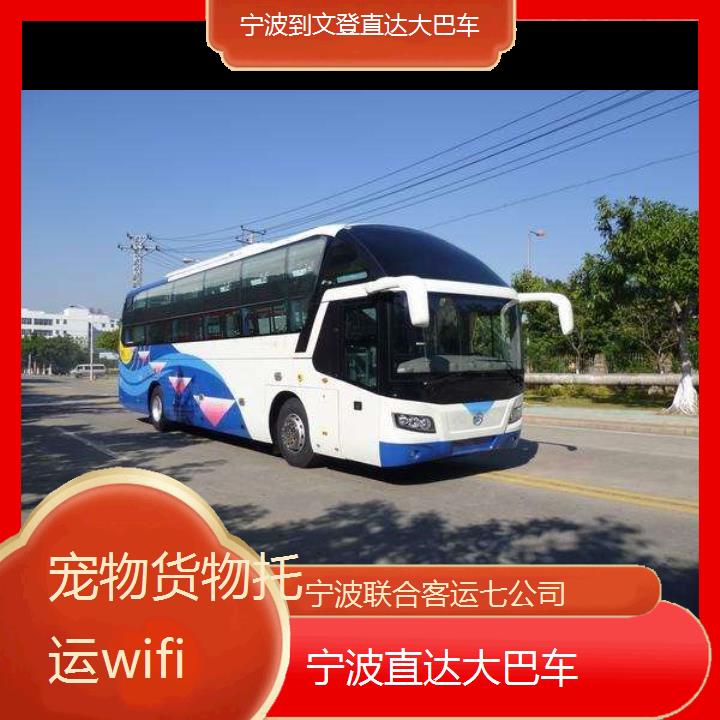 宁波到文登直达大巴车班次查询表（路线+票价）货物托运wifi