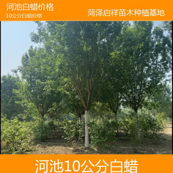 河池10公分白蜡价格-榜单一览