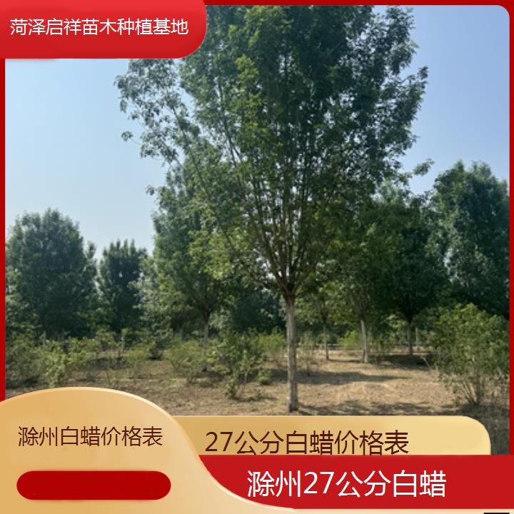 滁州27公分白蜡价格表-榜单一览