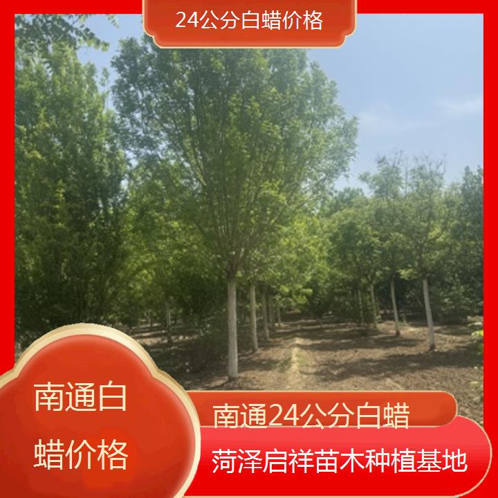 南通24公分白蜡价格-榜单一览