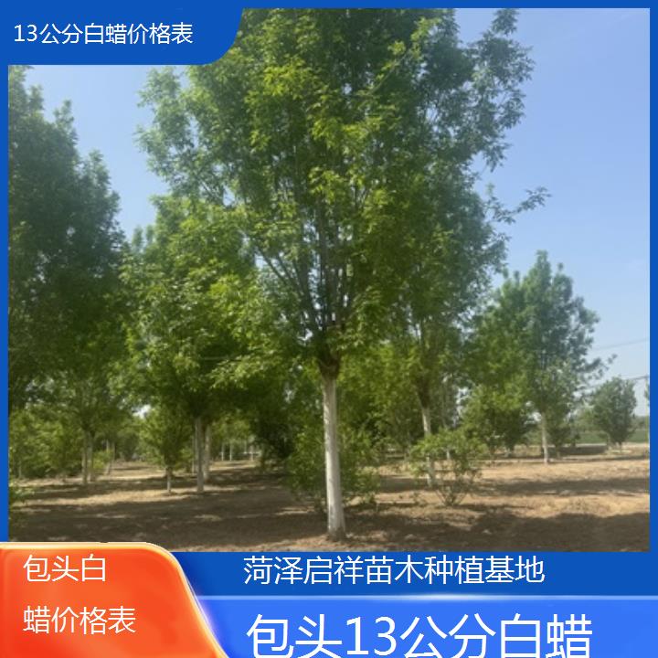 包头13公分白蜡价格表-榜单一览