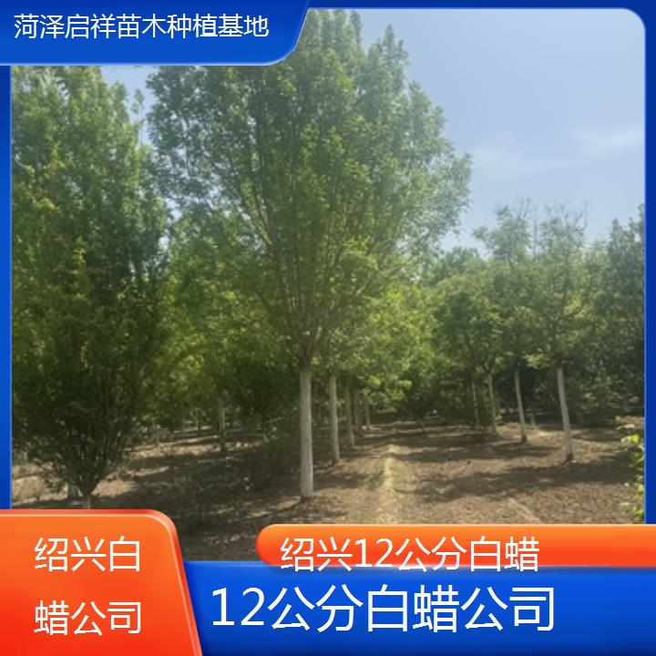 绍兴12公分白蜡公司-榜单一览