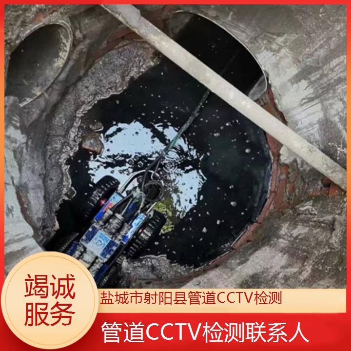 盐城市射阳县管道CCTV检测联系人「竭诚服务」2024排名一览