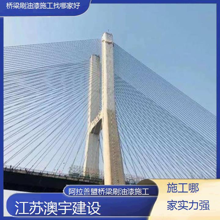 阿拉善盟桥梁刷油漆施工找哪家好「施工哪家实力强」2024排名一览