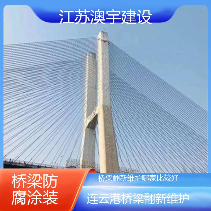 连云港桥梁翻新维护哪家比较好「桥梁防腐涂装」2024排名一览