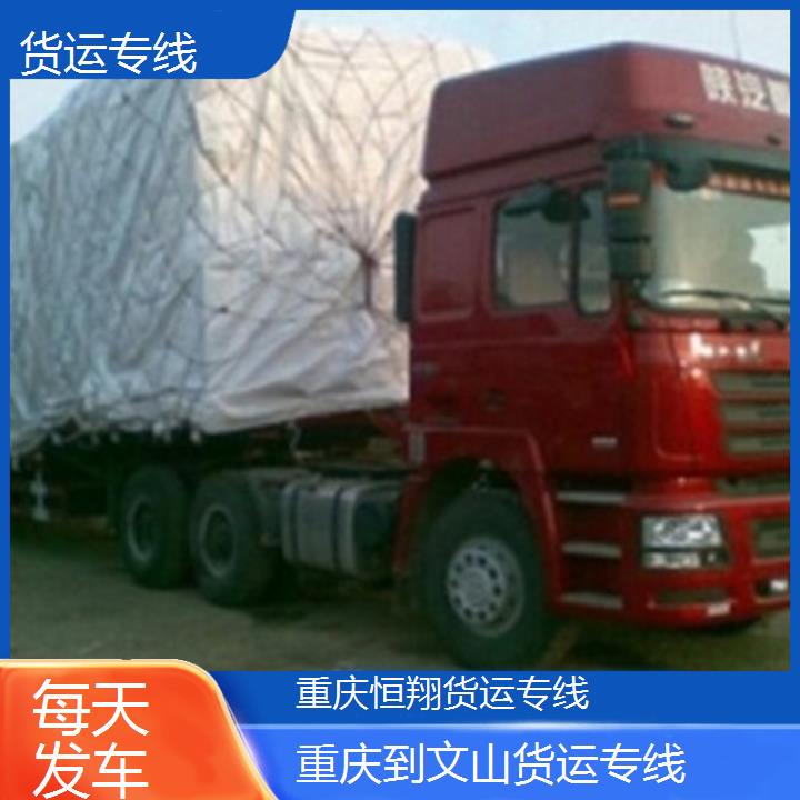 重庆到文山物流公司-货运专线「每天发车」2024排名一览