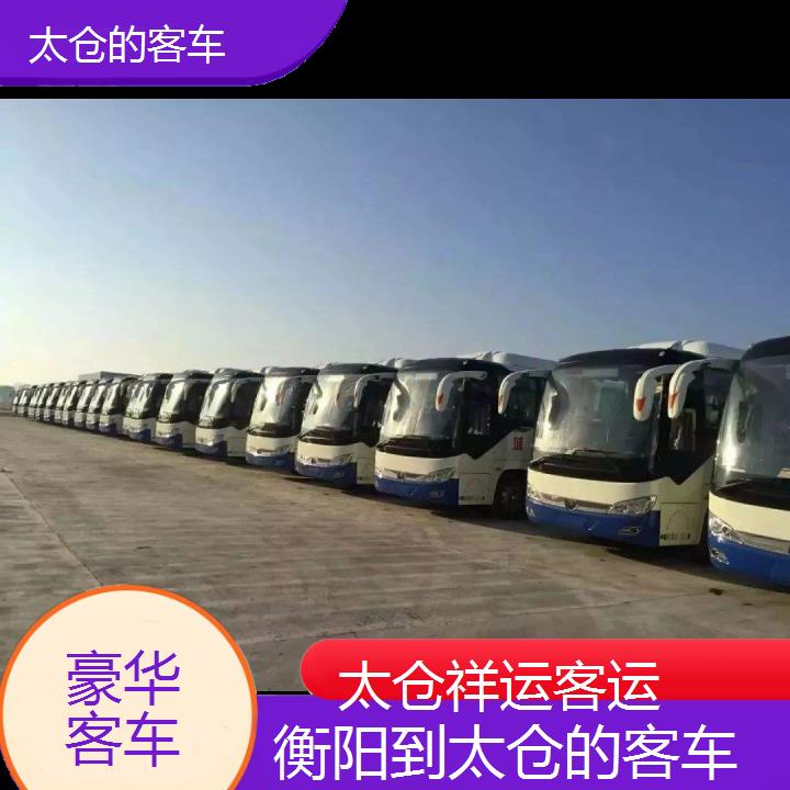 太仓到衡阳的客车班次查询表<路线+票价>豪华客车