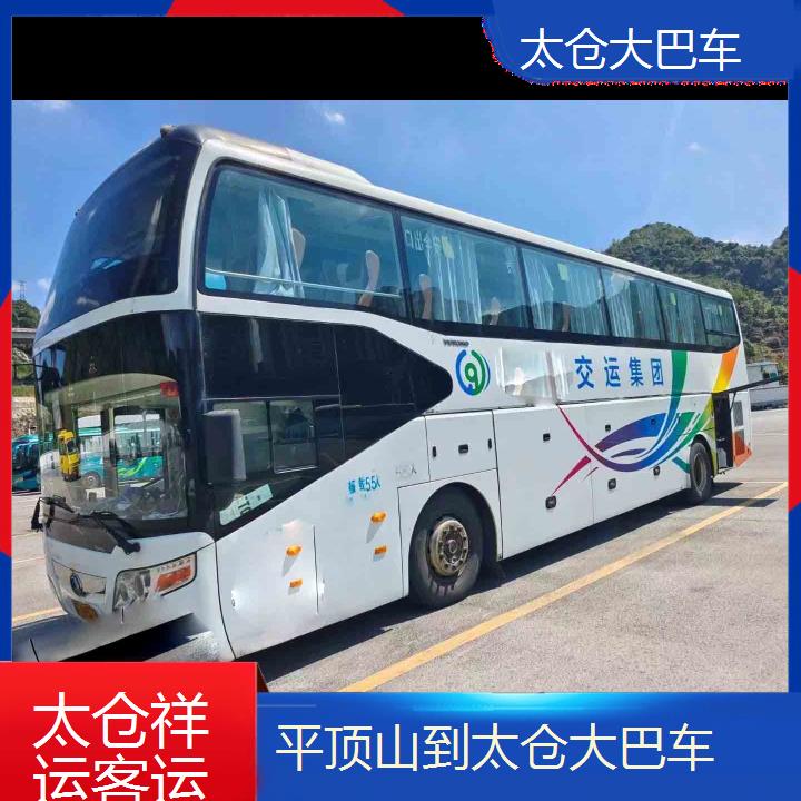 太仓到平顶山大巴车班次查询表<路线+票价>每天发车