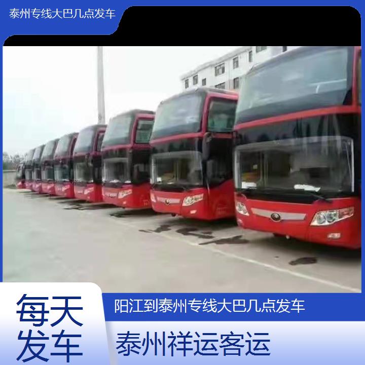 长途客车:泰州到阳江专线大巴几点发车班次查询表<路线+票价>每天发车