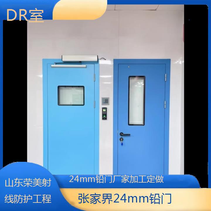 张家界24mm铅门厂家加工定做「DR室」2024排名一览