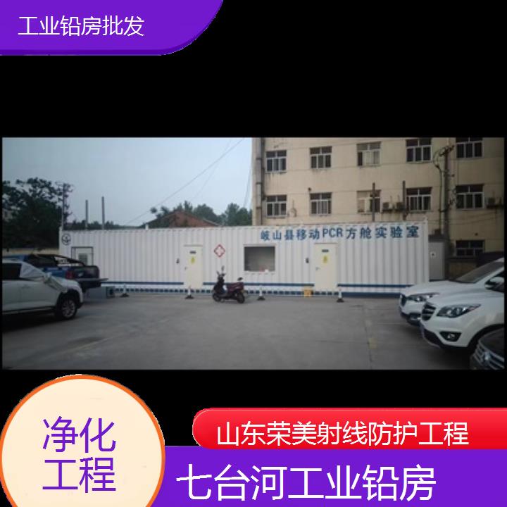 七台河工业铅房批发「净化工程」2025榜单一览