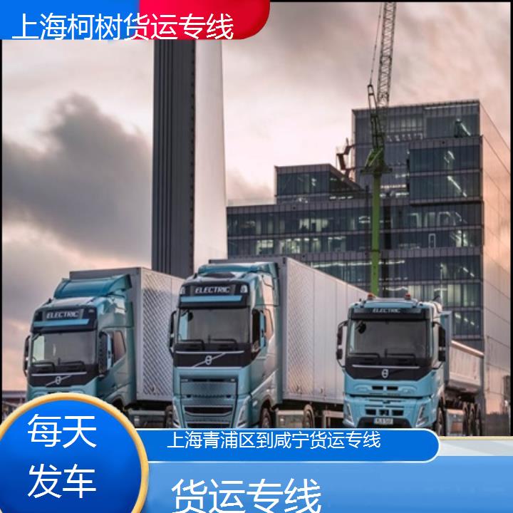 上海青浦区到咸宁物流公司-货运专线「每天发车」2024排名一览