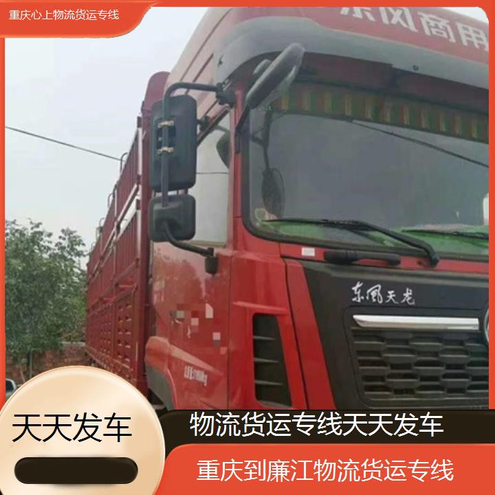 重庆到廉江物流公司-物流货运专线「天天发车」2024排名一览