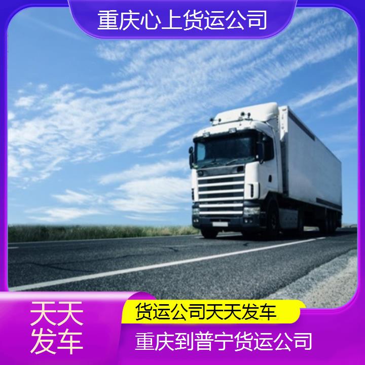 重庆到普宁物流公司-货运公司「天天发车」2024排名一览