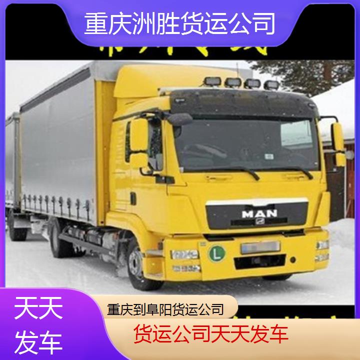 重庆到阜阳物流公司-货运公司「天天发车」2024排名一览