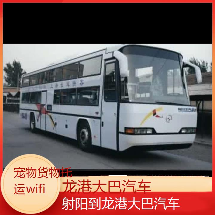 龙港到射阳大巴汽车班次查询表（路线+票价）货物托运wifi