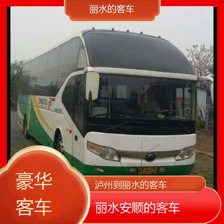 丽水到泸州的客车班次查询表（路线+票价）豪华客车