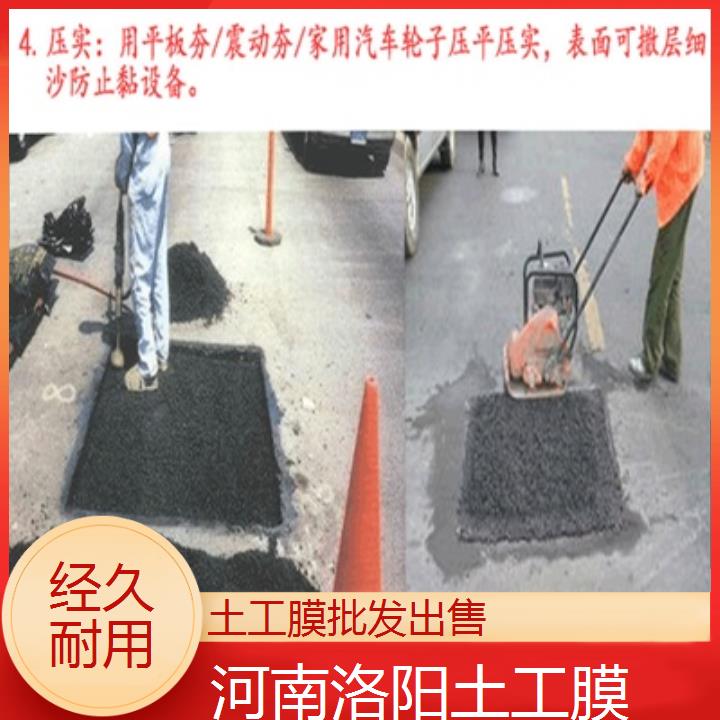 河南洛阳土工膜厂家经久耐用2024排名一览