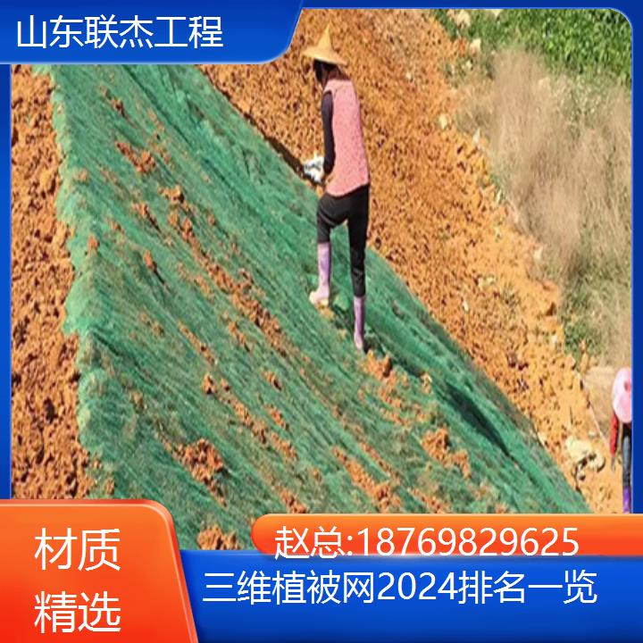 广西贺州三维植被网厂家（材质精选）2024排名一览