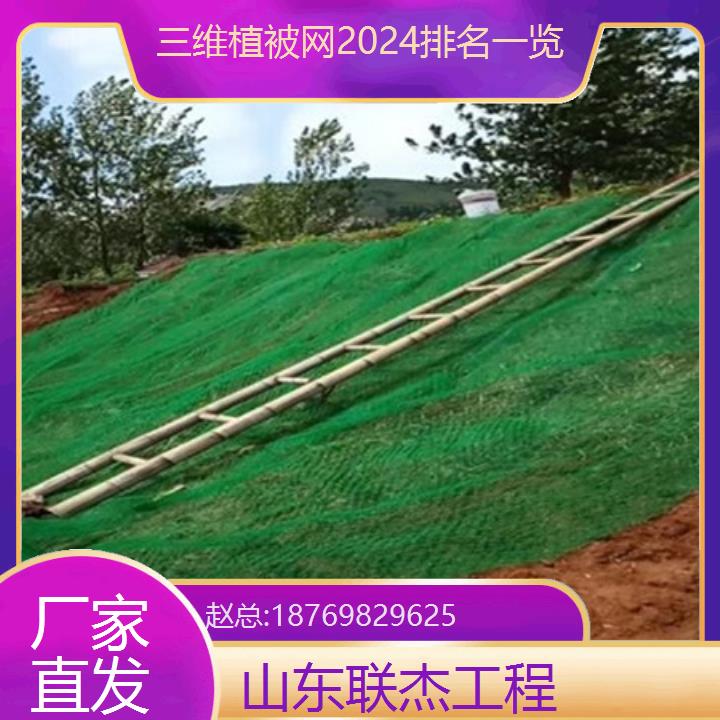 湖南湘西三维植被网厂家（厂家直发）2024排名一览