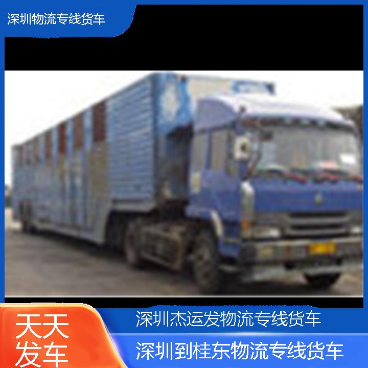 深圳到桂东物流公司-物流专线货车「天天发车」2024排名一览