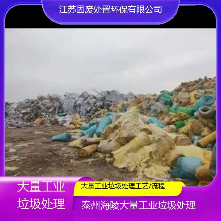 泰州海陵大量工业垃圾处理工艺/流程2024固废处置