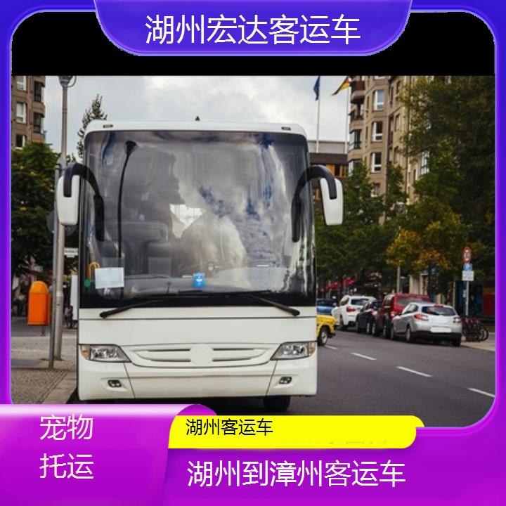 湖州到漳州长途客车（客运车））班次查询表（路线+票价）托运