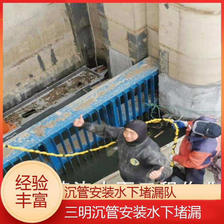 三明沉管安装水下堵漏队「经验丰富」2025排名一览